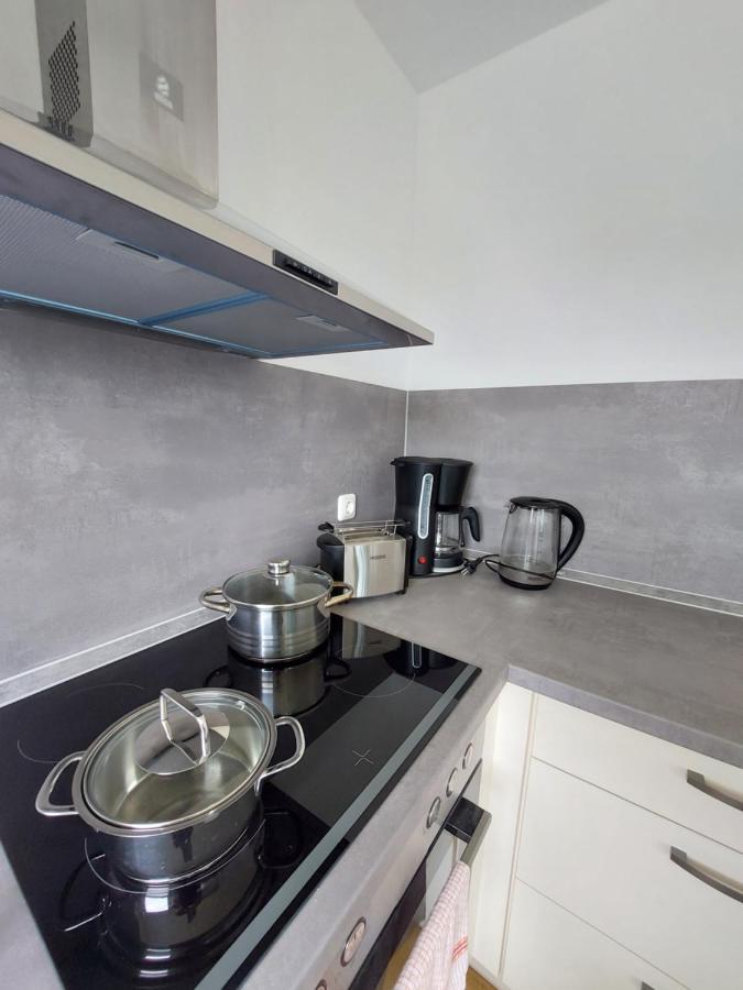 Moderne Wohnung Mit Vollausstattung In Ruhiger Lage, W-Lan Grossrohrsdorf Dış mekan fotoğraf
