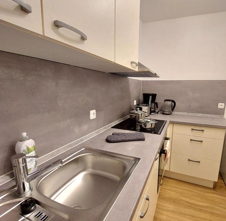 Moderne Wohnung Mit Vollausstattung In Ruhiger Lage, W-Lan Grossrohrsdorf Dış mekan fotoğraf